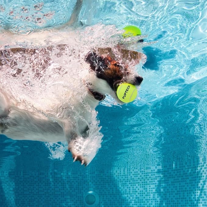 PUPTECK Squeaky Tennis Balls for Dogs, 2.5" Training Bouncy Ball Toys 12 Packs for Dogs Playing, Exercise and Fetch