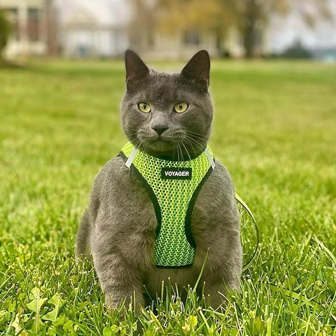Best Pet Supplies Voyager Step-in Air Harness - All Weather Mesh, Reflective, No Pull Harness for Dogs, Cats - Secure with Hook & Loop Fastener, Buckle, Double D-Rings - Tone, XS