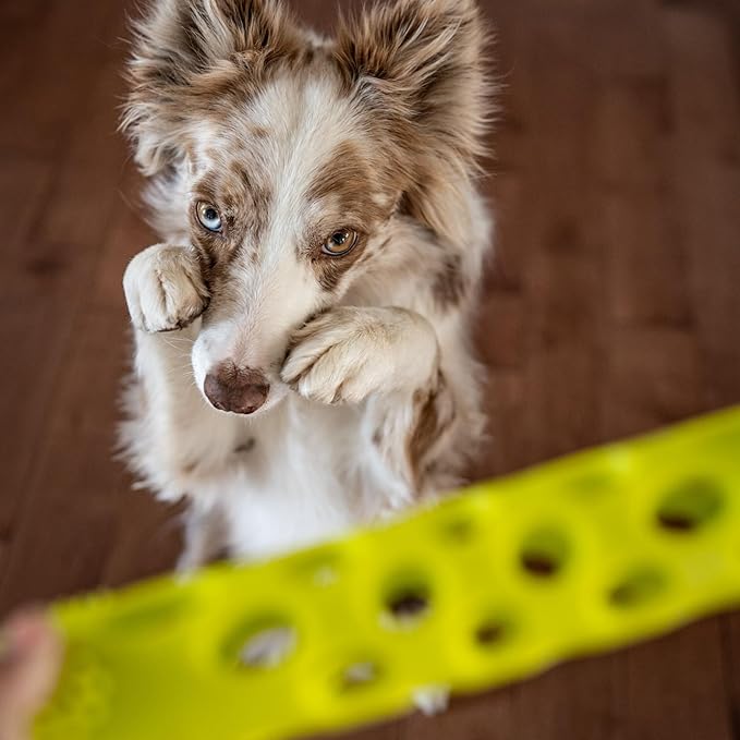 Messy Mutts Totally Pooched Huff'n Puff Stick | 10” x 2” TPR Puzzle Stick for Dogs | 2-in-1 Durable Interactive Toy and Tooth Cleaner | Green