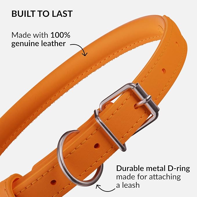 CollarDirect Rolled Leather Dog Collar, Soft Padded Round Puppy Collar, Handmade Genuine Leather Collar Dog Small Large Cat Collars 13 Colors (6-7 Inch, Orange Smooth)