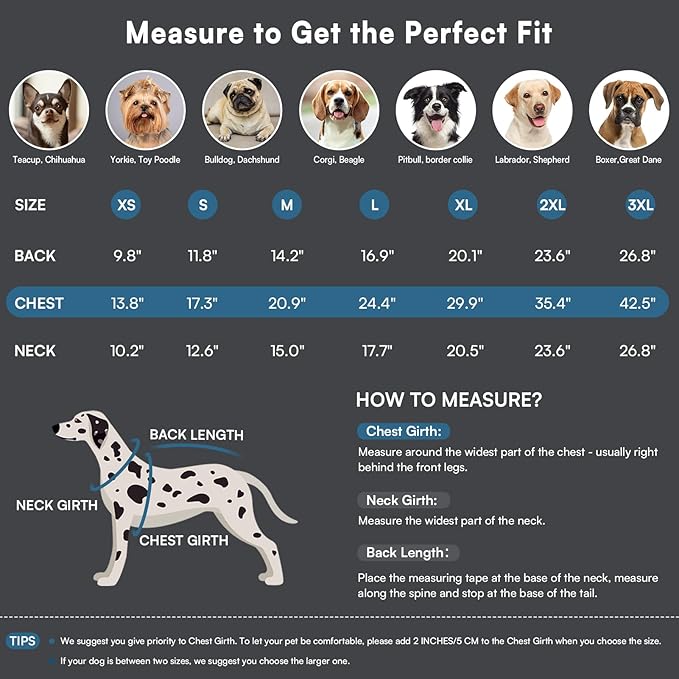 Queenmore Small Dog Coat,Dog Coat for Small Dogs,Reflective Windproof Dogs Jackets with Built-in Harness,Doggy Winter Jacket with Zipper On Back,Warm Pet Coats with Fleece Lining,Blue,S