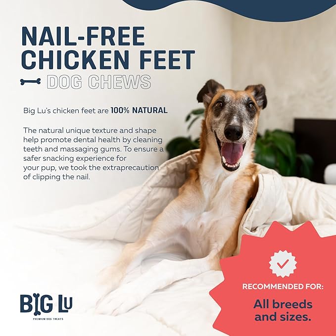 Big Lu – Nail-Free Chicken Feet Dog Chews, 100% Natural Single-Ingredient Treats, Rawhide-Free, Long-Lasting, Rich in Glucosamine and Chondroitin for Joint Health (30 Count, Chicken Feet)