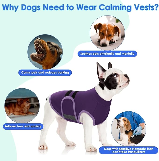 MIGOHI Dog Anxiety Relief Coat,Comfort Anxiety Vest for Dogs,Adjustable Dog Anxiety Calming Wrap for Fireworks,Thunderstorms,Travel,Separation,Anxiety Jacket for Medium Dogs,M, Purple