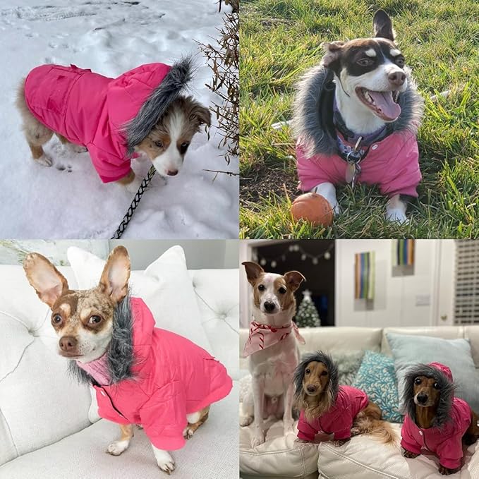 LESYPET Dog Coat for Small Dogs, Windproof Doggie Puffer Jacket with Leash Hole, Extra Warm Dog Jacket Winter Coat, Grey S