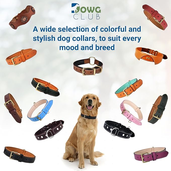 Leather Dog Collar for Medium Dogs, Light Pink, 1 Inch Wide, Genuine Leather, Heavy Duty with Soft Inner Padding, Comfortable and Durable (Blush Pink, M (Fit Neck Size 14.5"-18.5"))