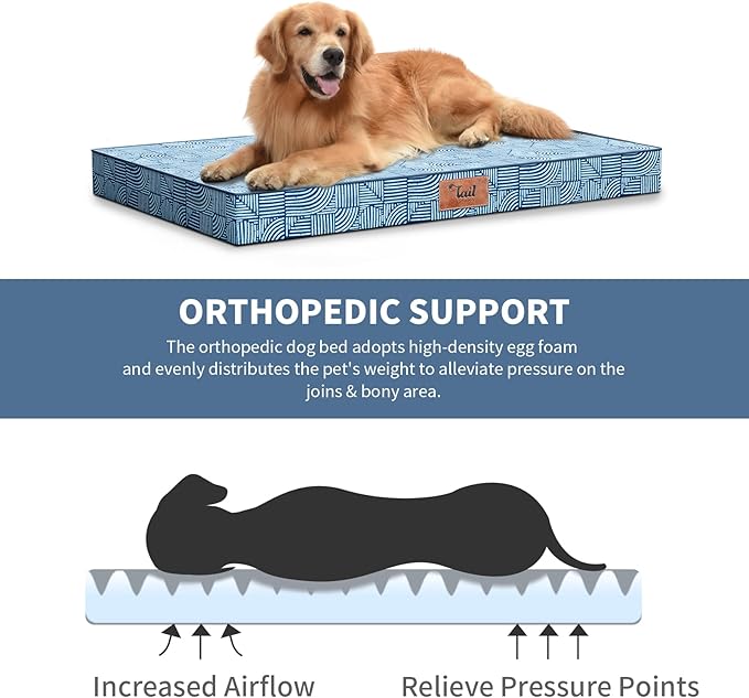 Outdoor Orthopedic Dog Bed for Medium Dogs & Cats, Waterproof Flat Pet Mat with Egg Crate Foam & Washable Removable Oxford Cover, 30x20 Inch, White Blue