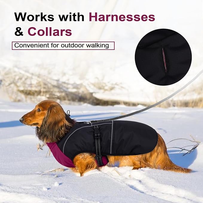 Lelepet Dachshund Coat Warm Dog Winter Coat Waterproof Dog Jacket with Fleece Lining, Reflective Outdoor Dachshund Snowsuit with Leash Hole Adjustable Neckline,Coats for Small Medium Dogs,Purple, XS