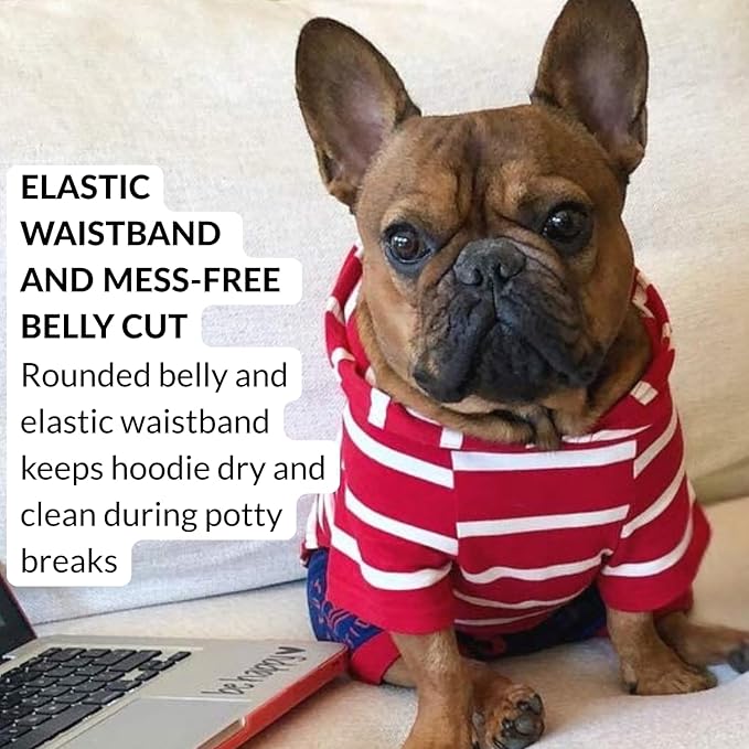 DJANGO Dog Hoodie – Warm, Lightweight, Soft & Stretchy Dog Sweater with Hood, Harness Hole & Elastic Waistband – Cozy Sweatshirt for Small Dogs up to 25 lbs, Dachshunds & Puppies – Crimson Red, Medium