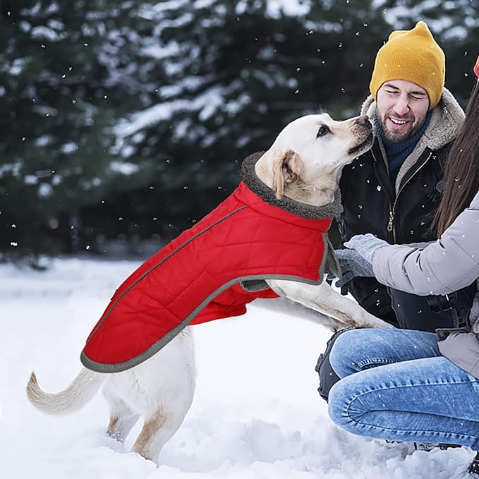 Fragralley Dog Coat Medium, Waterproof Dog Jacket with Warm Fleece Lining, Adjustable Reflective Dogs Winter Coat, Turtleneck Pet Coats for Cold Weather (Red M)