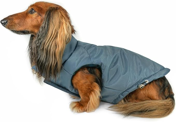 DJANGO Reversible Puffer Dog Coat – Warm Winter Dog Jacket & Water-Repellent Insulated Dog Coat w/Harness Hole, Windproof, Adjustable Fit for Small & Medium Dogs, Dachshunds – Twilight Blue, X-Small