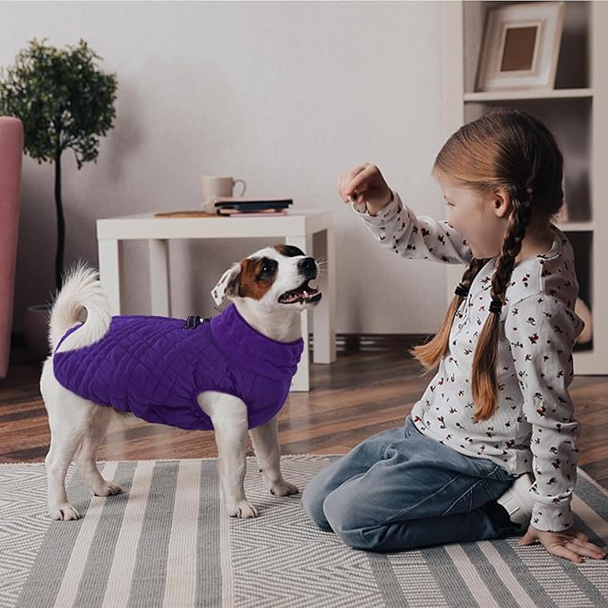 Kuoser XXL Winter Coat | Giant Breed Armor for Mastiffs & Great Danes | Zippers Secure Dogs in -20°F, Reflective Panels for Mountain Hikes, Purple XL