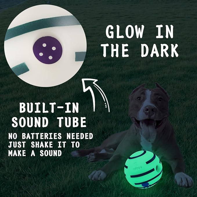 HYQ Glowing Small Dog Toys, Interactive Dog Toys Ball, Squeaky Dog Toys for Small Medium Large Dogs, Puppy Ball Dog Toys to Keep Them Busy (Glow Ball, 3.94 inch)