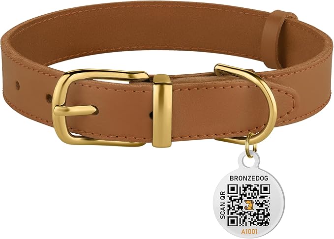 BRONZEDOG Leather Dog Collar with Metal Buckle Durable Basic Pet Collars for Small Medium Large Dogs (11-13 Inch (Pack of 1), Light Brown & Gold Buckle)