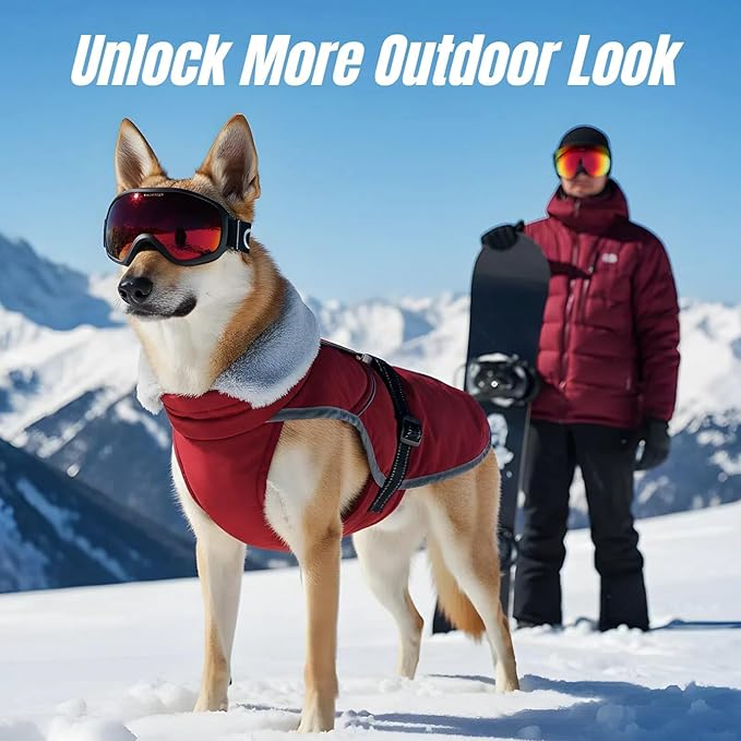 Insulated Relaxed Fit Dog Winter Jacket with Full-Body Reflective Strip, Hard Shell Pet Coat for Outdoor, Waterproof & Adjustable Coats for Large Dogs, Soft Fur Collar Clothes for Beagle(Wine, XL)