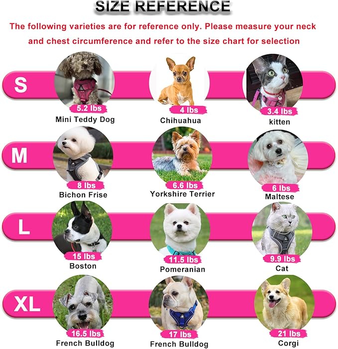 SOLMOONY Small Dog Harness,Soft Mesh Puppy Harness and Leash Set,No Escape Cat Harnesses for Training Walking,Reflective Adjustable Puppy Vest for Small Medium Dogs, Cats (Grey, S)