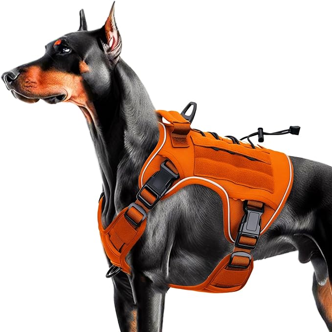Heavy-Duty Tactical Dog Harness for Large Dogs, No Pull Adjustable Reflective Pet Vest with Molle System, K9 Military-Grade Control for Service Training, Outdoor & 10+ Breeds, Orange, Large