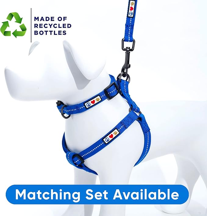 Pawtitas 6 FT Recycled Dog Leash with Reflective Stitched Thread Stitched on Side| Small Reflective Dog Leash Made from Plastic Bottles Collected from Oceans – Blue 6 ft Dog Leash