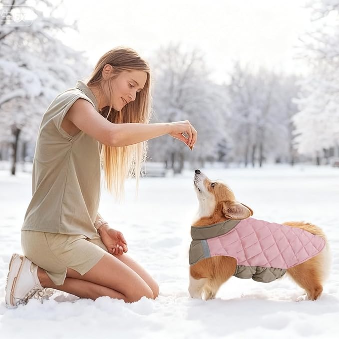 Quilted Dog Winter Coat, Plaid Lined Reversible Vest, Reflective Safety Strip, Cold Weather Pet Apparel Pink S