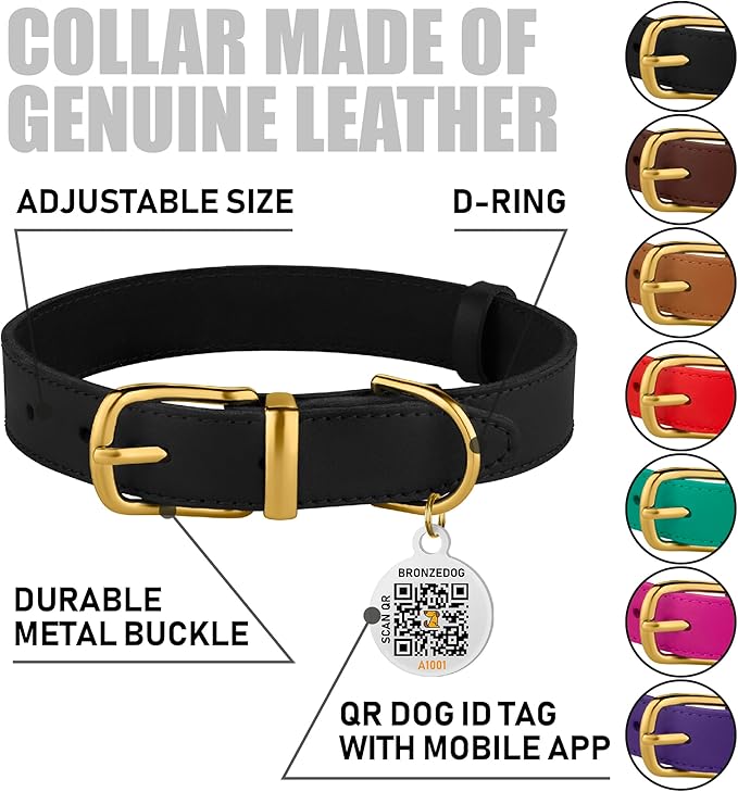 BRONZEDOG Leather Dog Collar with Metal Buckle Durable Basic Pet Collars for Small Medium Large Dogs (13-16 Inch (Pack of 1), Black & Gold Buckle)