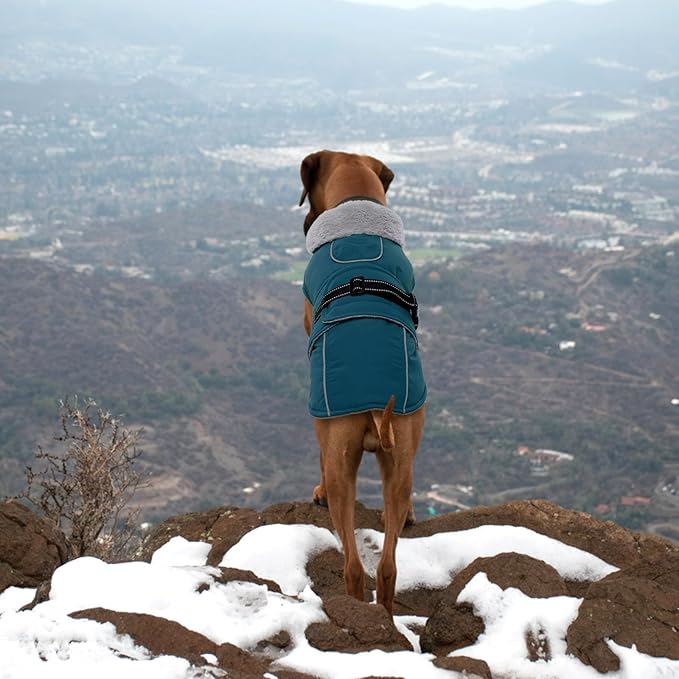 Lelepet Warm Dog Coats for Small Dogs Waterproof Dog Winter Jacket Reflective Pet Fleece Vest Windproof Cold Weather Coats with Adjustable Buckle & Leash Hole, Dark Green, S