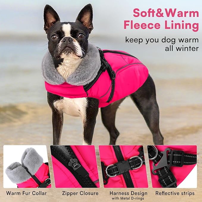 Queenmore Dog Coat,Windproof Dog Coat for Medium Dogs,Dogs Jackets with Harness Built in,Waterproof Doggy Coats with Zipper On Back,Reflective Cold Weather Coats for Dachshund,Boston Terrier,RoseRed,M