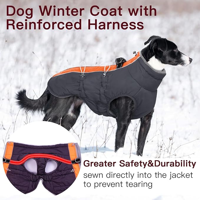 Small Dog Coat - Winter Jacket, Warm Zip Up Snowsuit, Reflective, Water-Resistant, Orange-Gray for Small Dogs, Yorkie, Toy Poodle