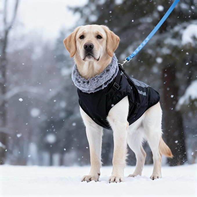 Dog Coat for Medium Large Dogs,Waterproof Reflective Dog Winter Jacket with Harness, Fleece Snowsuit,Warm Pet Winter Coat(Reflective blue-6XL)