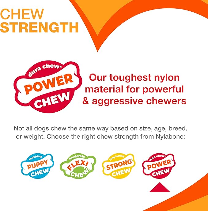 Nylabone Lobster Power Chew Toy for Dogs, Dog Toys for Aggressive Chewers, Filet Mignon Flavor, Small Dogs - Up to 25 Ibs, 1 Count