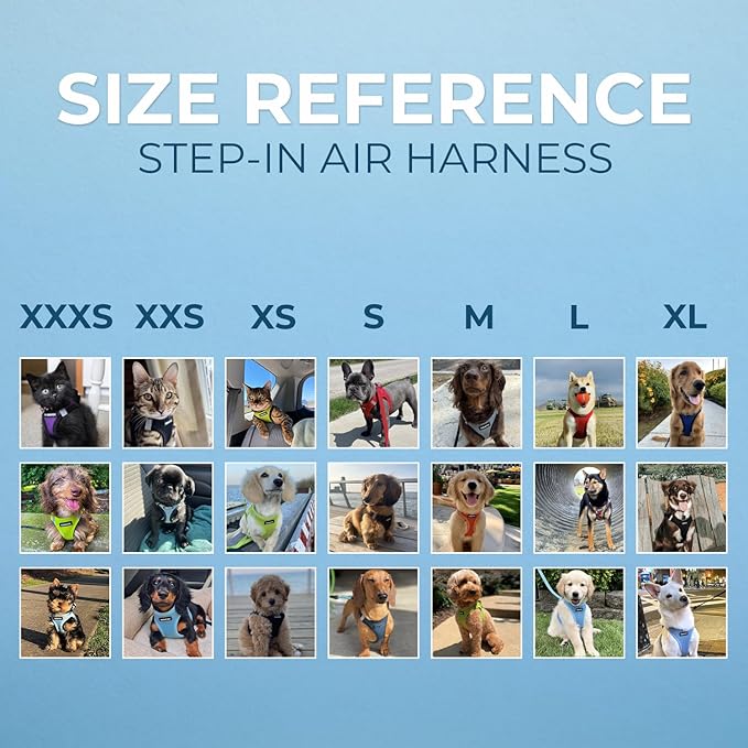 Best Pet Supplies Voyager Step-in Air Harness - All Weather Mesh, Reflective, No Pull Harness for Dogs, Cats - Secure with Hook & Loop Fastener, Buckle, Double D-Rings - Baby Blue, XS