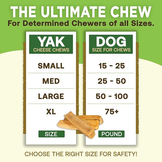 EcoKind Premium Gold Yak Cheese Himalayan Dog Chews, Healthy Dog Treats for Large Dogs, All Natural, High Protein Dog Chew, Water Buffalo, Large - 3 Chews