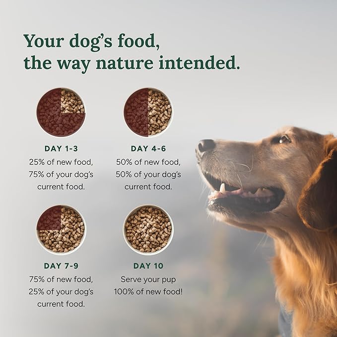 360 Pet Nutrition Freeze-Dried Raw Dog Food – Chicken Recipe with Liver & Organs, High Protein, Omega-3s, Fruits, Veggies & Superfoods, Grain-Free, No Fillers, 5 oz – Made in USA