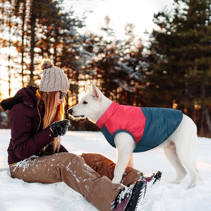 ASENKU Dog Winter Coat - Waterproof Windproof Dog Jacket, Warm Snowproof Doggie Puffer Vest for Cold Weather, Lightweight Snow Coats for Small Medium Large Dogs (Red&Navy, M)