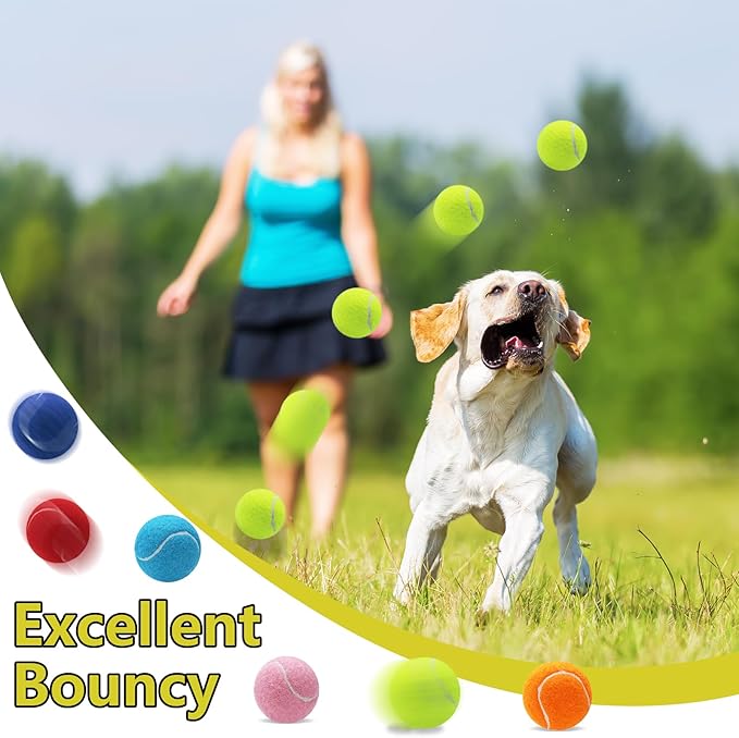 Swingers Squeaky Tennis Balls for Dogs,2.5 inch Training Tennis Balls,Exercise Ball for Pet Dog with Mesh Carry Bag Easy to Transport (Multicolor, 60 Pack)