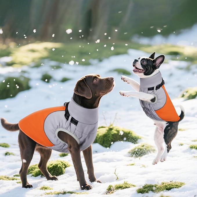 DENTRUN Dog Coat with Harness Built in, Extra Large Water-Repellent Dog Jacket, Turtleneck Windproof Reflective Strips for Great Dane, Orange, XXXL
