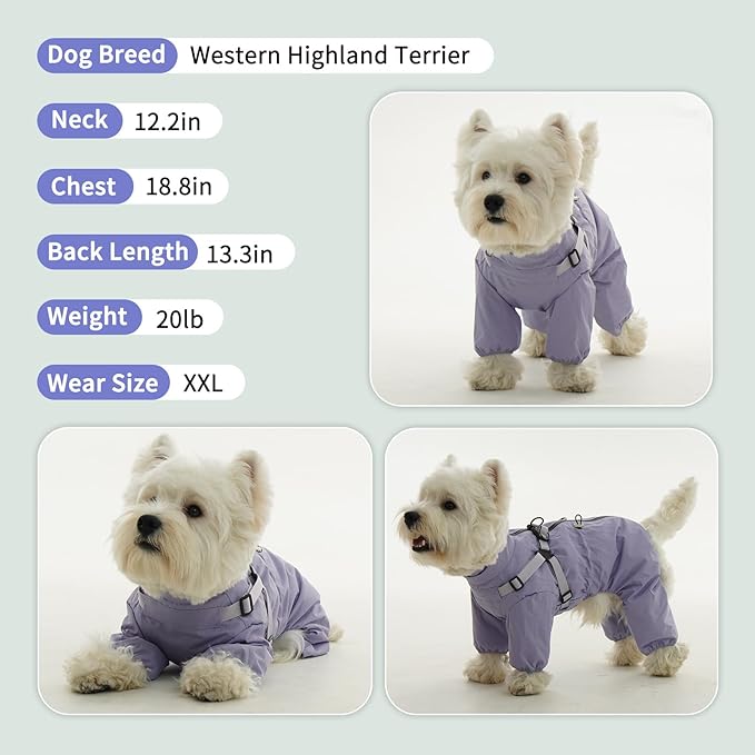 BRKURLEG Dog Raincoat for Small Dogs, Small Dog Rain Jacket with Harness Built in, Waterproof 4 Legs Puppy Raincoats, Puppy Outdoor Jacket with Reflective Strip, Purple, M