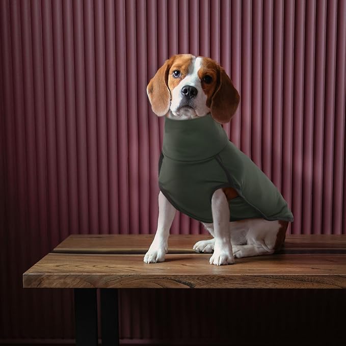 ROZKITCH Dog Winter Coat Soft Pullover Pajamas, Pet Windproof Warm Cold Weather Jacket Vest Cozy Jumpsuit Apparel Outfit Clothes for Walking Hiking Travel Sleep Green 3XL