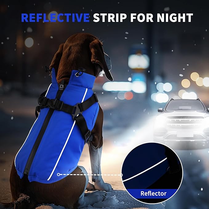 Dog Winter Coat Reflective Water-Resistant Jacket, Fleece Lined Windproof Puppy Coat with Back Zipper & D-Ring, Cold Weather Dog Coats for Small Medium Large Dogs (M,Blue)