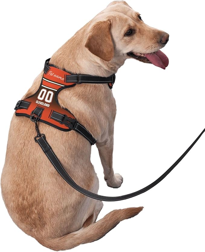 Custom Cleveland Dog Harness with Reflective Stripes Personalized Name and Number Dog Vest Harness with Pet Traction Rope for Small Medium Large Dog