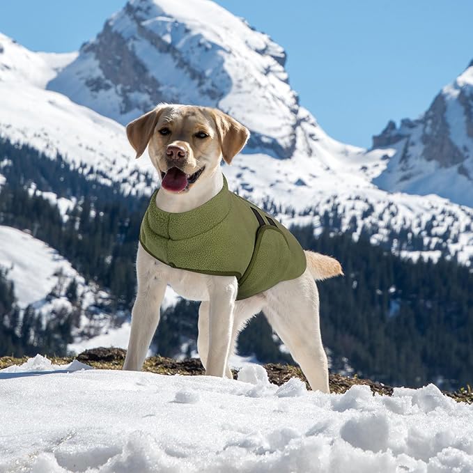 Queenmore Medium Dog Sweaters, Soft Fleece Vest Pullover Dog Jacket with Leash Hole, Warm Winter Dogs Clothes Cold Weather Doggy Dachshund Sweater for Medium Dogs Cats Boy or Girl (Army Green, M)