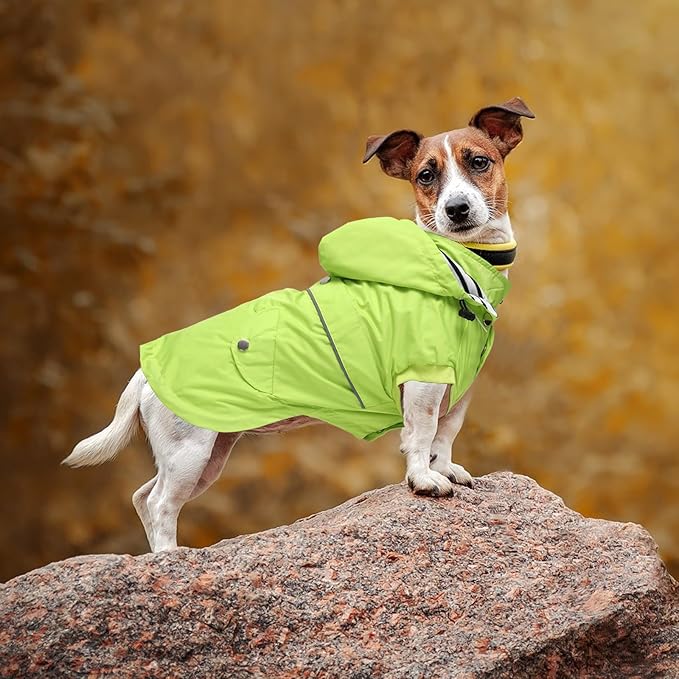 Dog Raincoat Waterproof Raincoats Dog rain Jacket Buttons Zipper Hood Drawstring Suitable for Small Medium Yorkie Terrier Schnauzer Poodle Border Collie Labrador 8lbs to 80lbs Green XL