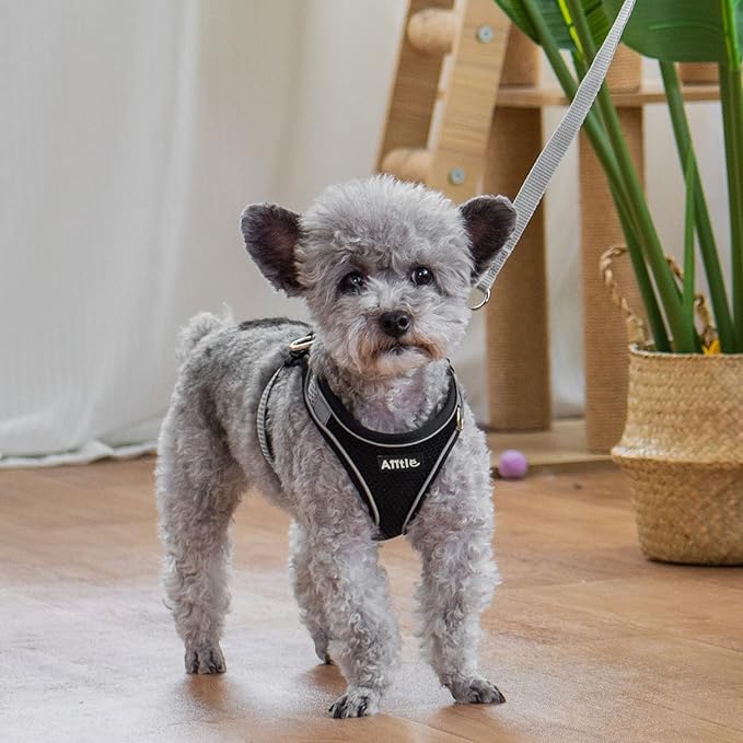 AIITLE Escape Proof Dog Harness - Step in Adjustable Dog Harness No Choke Over with Breathable Mesh and Quick-Release Buckle for Summer- Outdoor Walking, Camping, Training for Medium Dogs Black XL