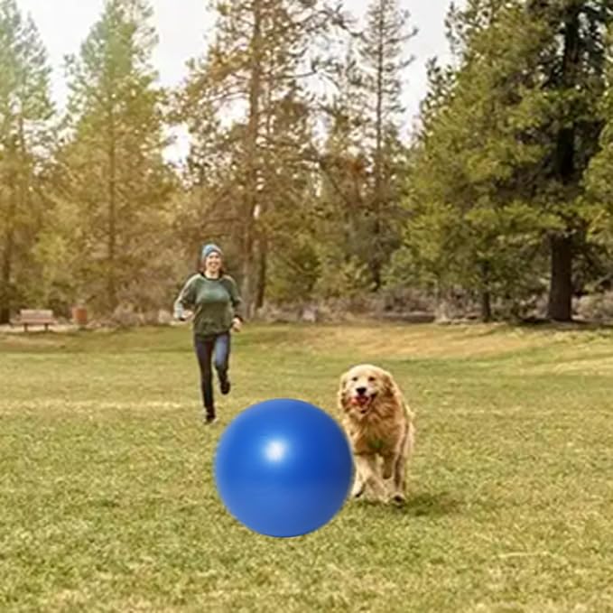 Herding Ball for Dogs:25 inch