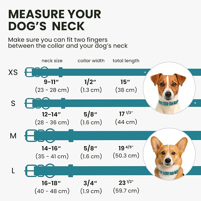 BRONZEDOG Rolled Leather Dog Collar for Small Medium Large Dogs with QR ID Tag (L: 16-18 Inch, Teal)