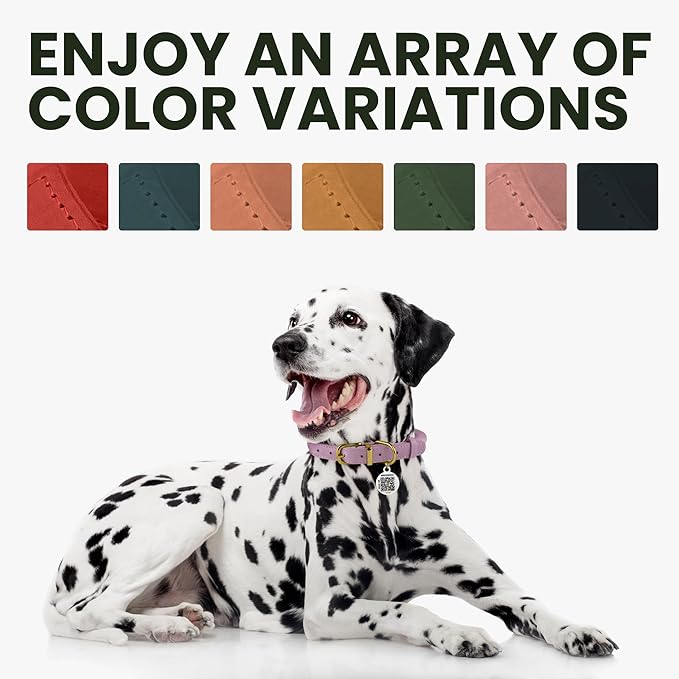 BronzeDog Rolled Leather Dog Collar with QR ID Tag, Adjustable Soft Round Collars for Small Medium Large Dogs Puppy (16" - 19" Neck Size, Peach)