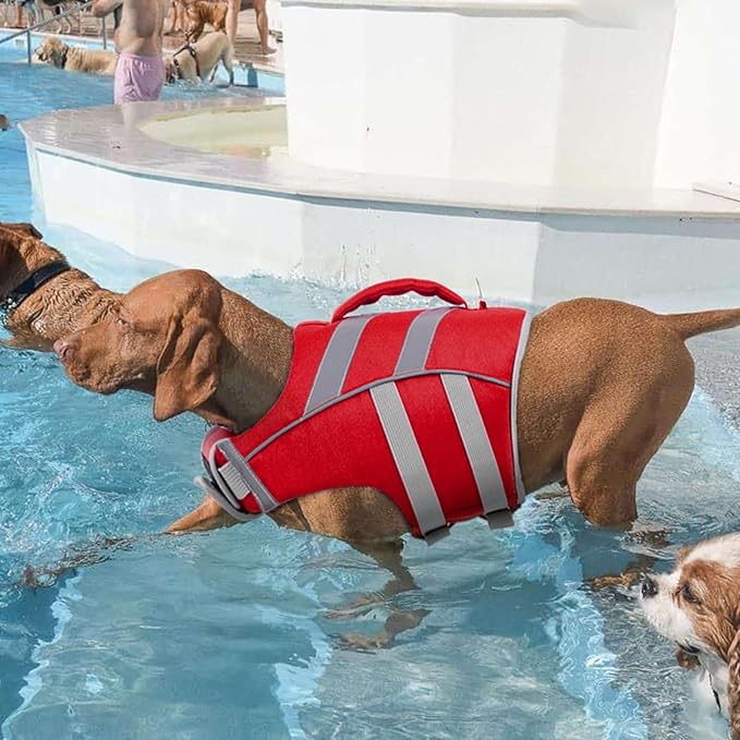 Kuoser Dog Life Jacket with Reflective Stripes - Adjustable High Visibility Vest, Ripstop Lifesaver, Pet Preserver with High Flotation Swimsuit for Small, Medium and Large Dogs