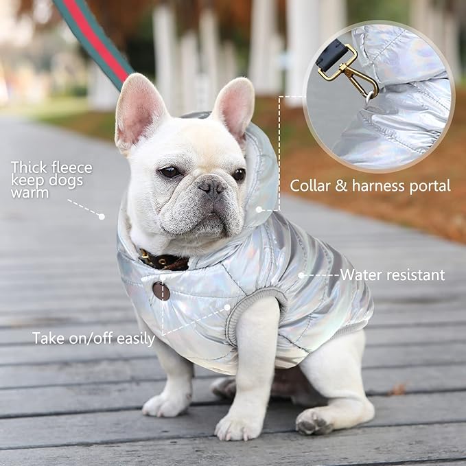 Windproof Waterproof Dog Coat - Fleece & Cotton Lined Warm Jacket, Cold Weather Pet Apparel for Small to Large Dogs (XS, Silver)