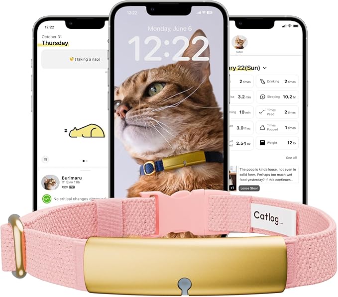 Health Tracker for Cats - Smart Cat Collar with Safety Breakaway Buckle for Indoor Cats, Wellness Alerts, Real-time Monitoring (Sakura, M)