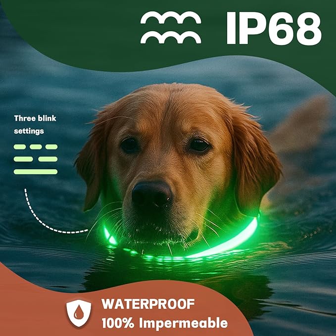 DOGWONG LED Dog Collar - Heavy Duty Light up Collars - Rechargeable Waterproof - Lighted Dog Collar for Night Walking, Hiking, Camping(White,S)