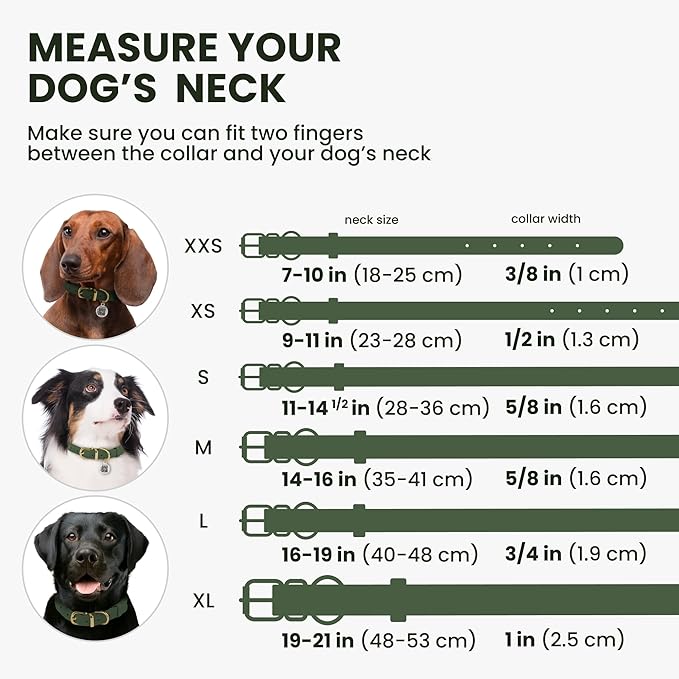 BronzeDog Rolled Leather Dog Collar with QR ID Tag, Adjustable Soft Round Collars for Small Medium Large Dogs Puppy (9" - 11" Neck Size, Emerald Green)