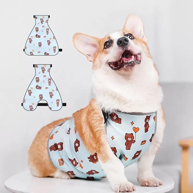Waterproof Belly Shield for Corgis & Dachshunds – Adjustable underbelly Protector. Male/Female Designs. Stays Dry in rain, mud & Grass. Ideal for Sensitive Skin (Blue - Male, M)